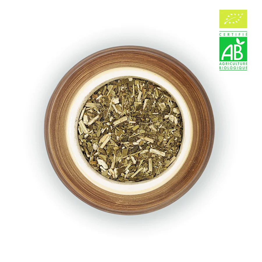 Maté affiné Guarana intense BIO