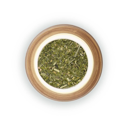 Maté Cactus