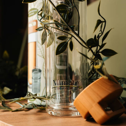 Bouteille infusion maté